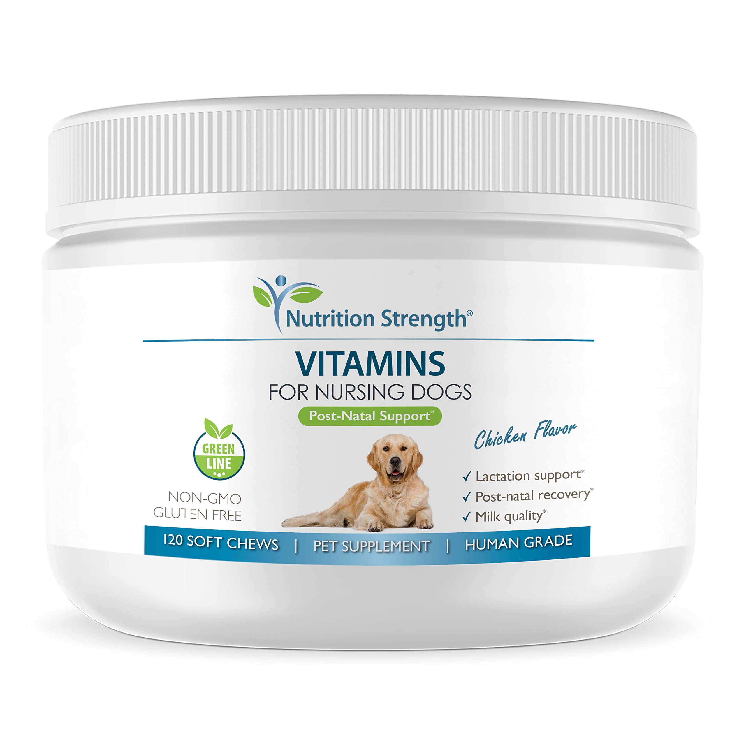 Vitaminas Nutrition Strength para perros lactantes en bote, apoyo a la lactancia saludable.