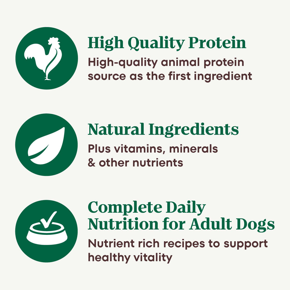 Nutro Hearty Stew lata con trozos de pollo sin granos para perros