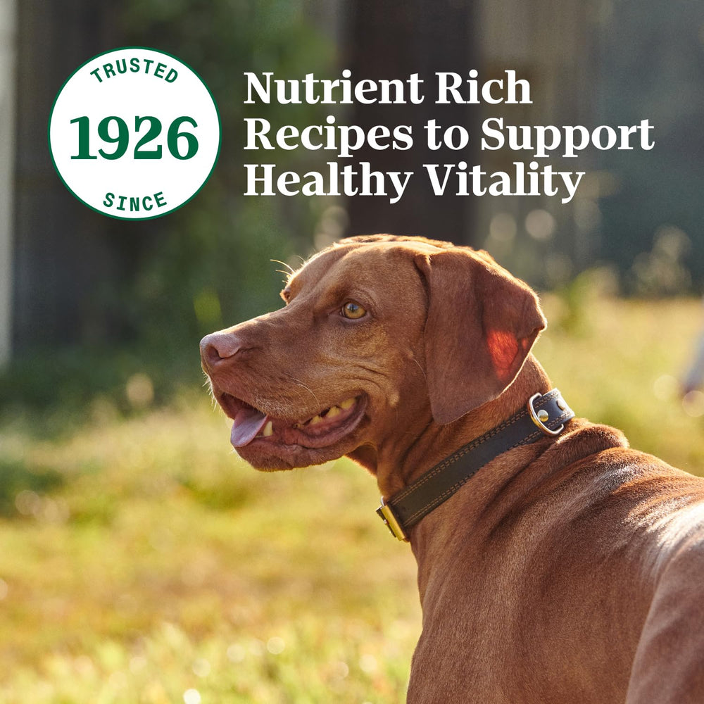 Nutro Hearty Stew porción de 12,5 oz: tamaño práctico