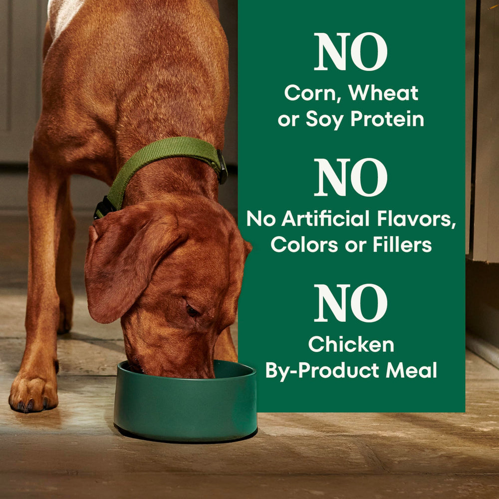Nutro Natural Choice digestión saludable para perros adultos.