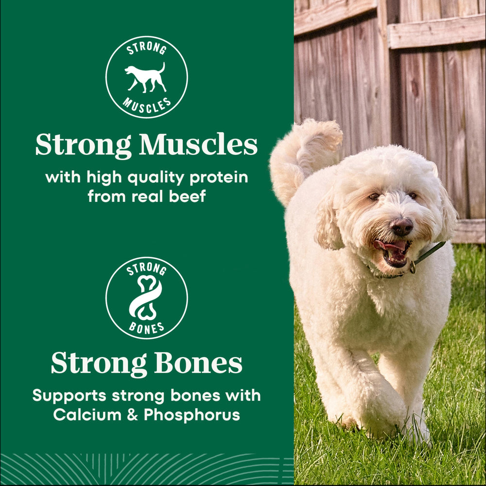 Nutro Natural Choice producto fabricado en eeuu para perros adultos.