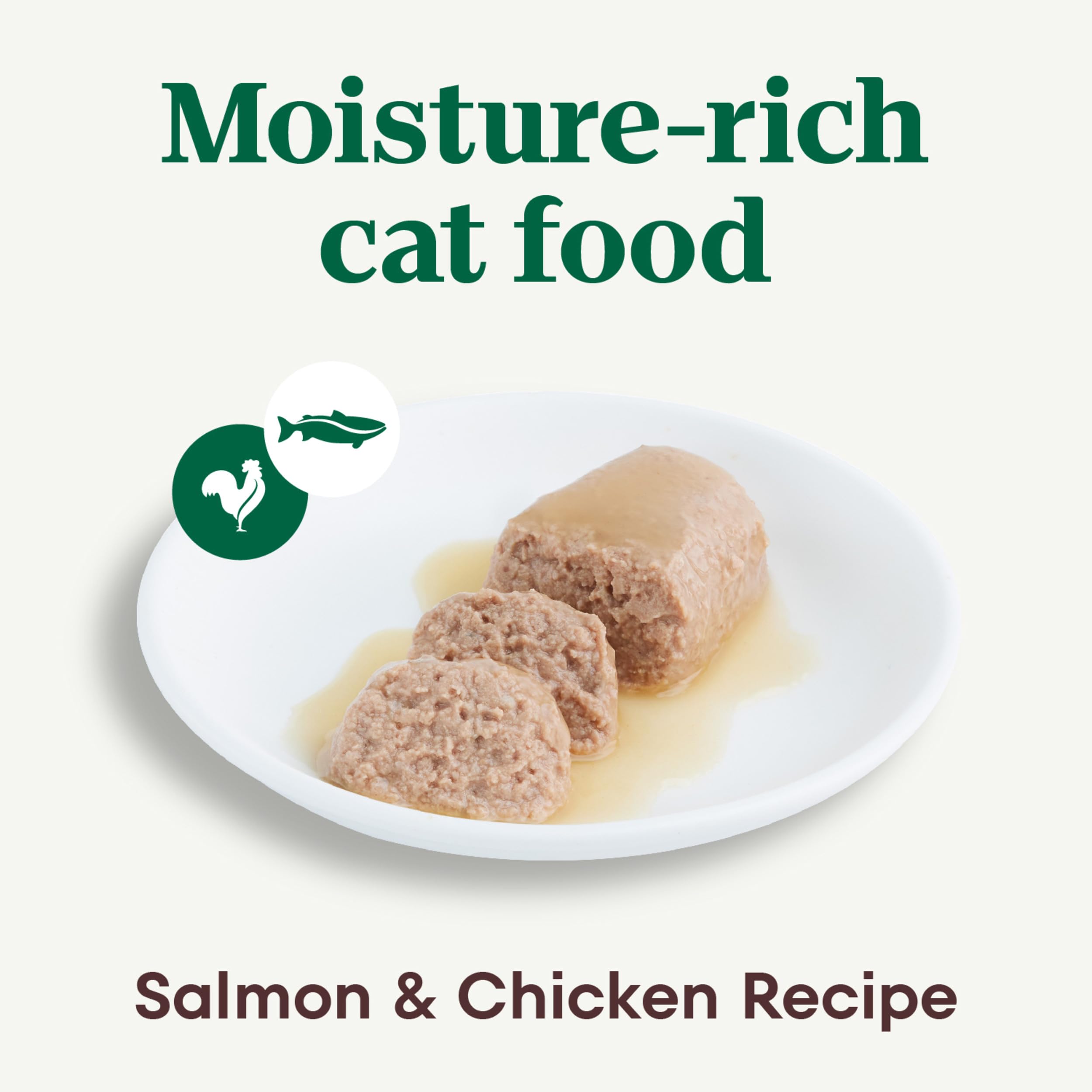 Nutro Perfect Portions Paté: ingredientes clave visibles, proteína de alta calidad para gatos adultos.