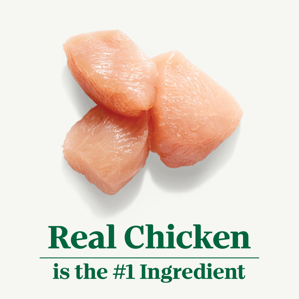 Nutro sin granos con pavo como proteína principal para perros