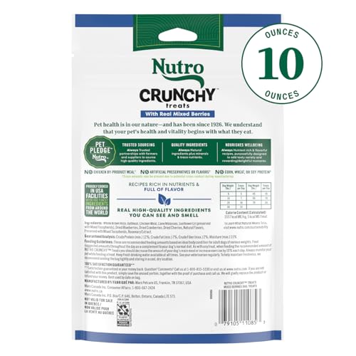 Premios Nutro con bayas para perros, ideal para reforzar buen comportamiento