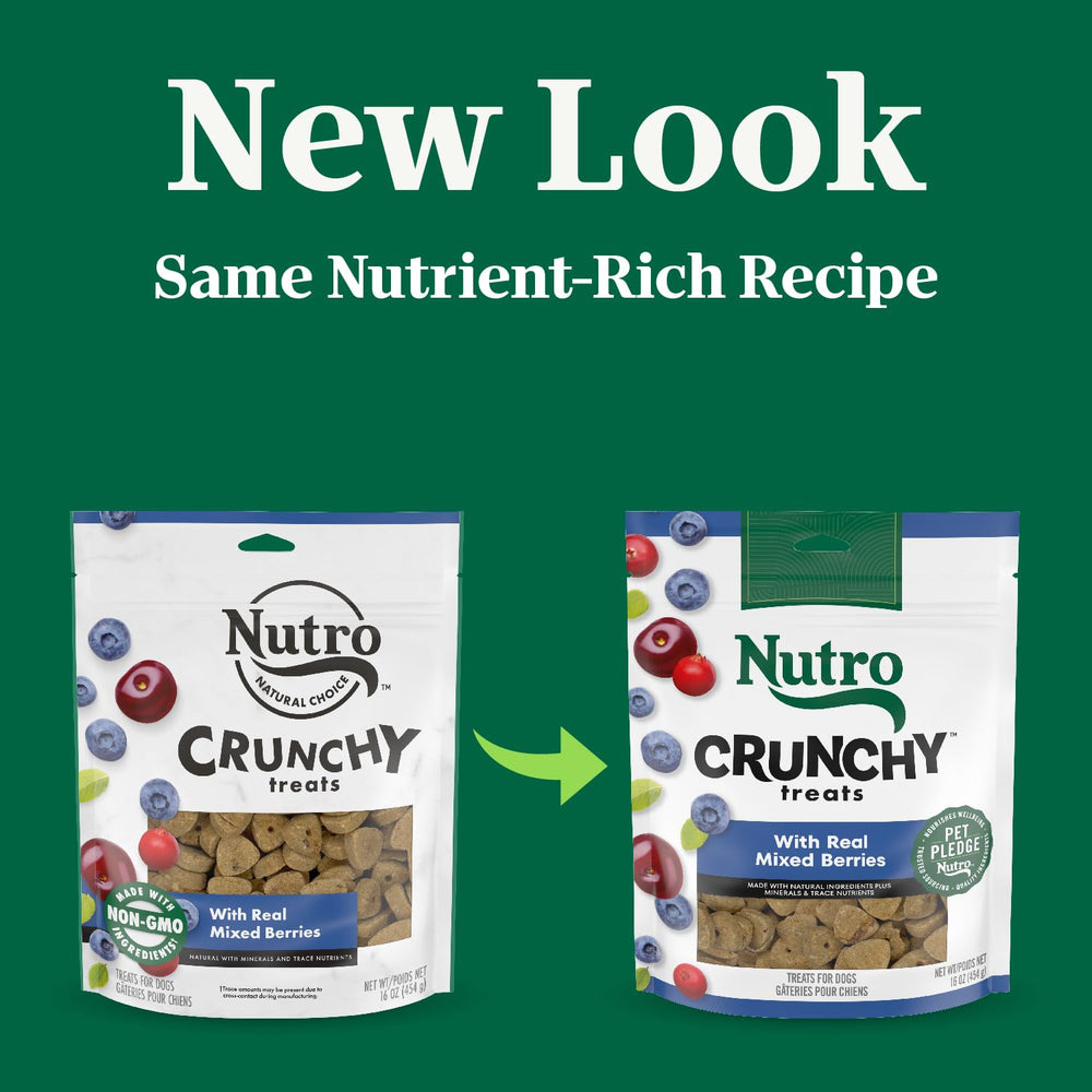 Tazón con snack natural de Nutro para perro sabor bayas reales