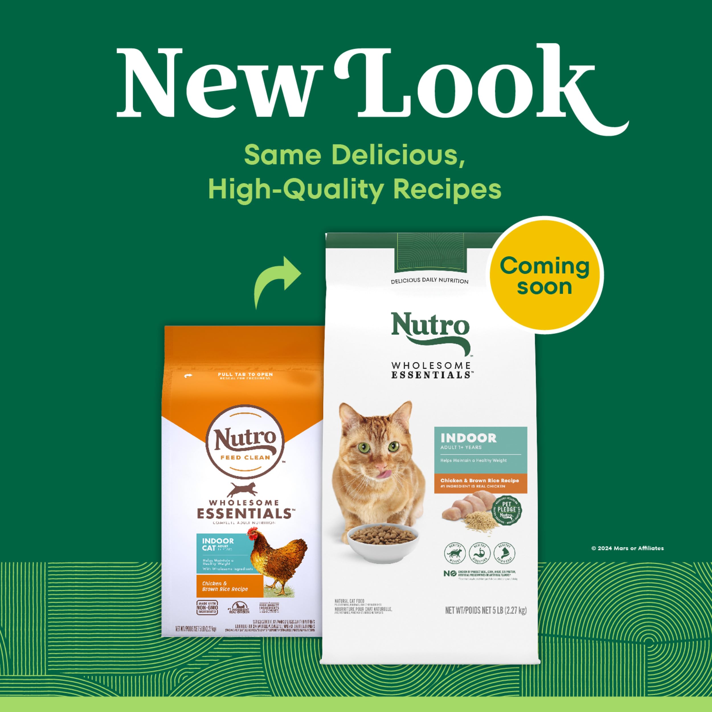 Nutro Wholesome Essentials gato pelaje saludable, brillo y bienestar de la piel.