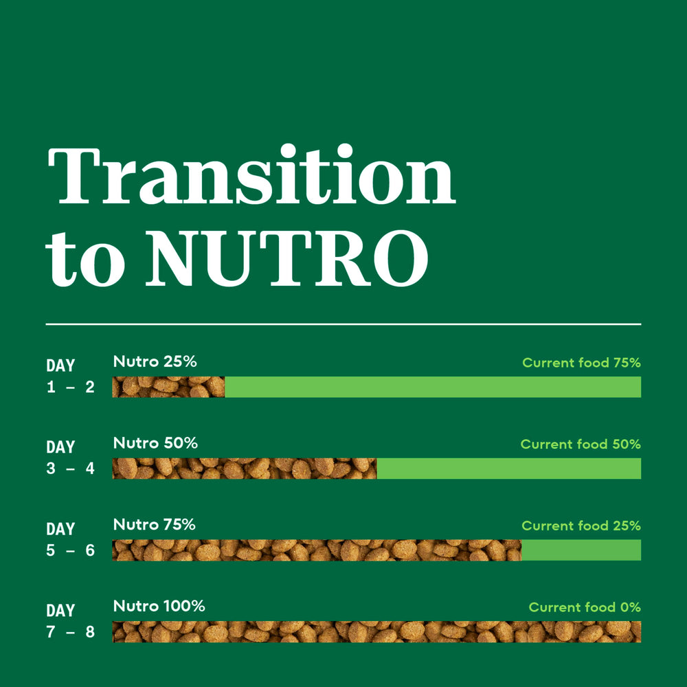 Nutro Wholesome Essentials sabor a pollo, experiencia sabrosa para tu gato.