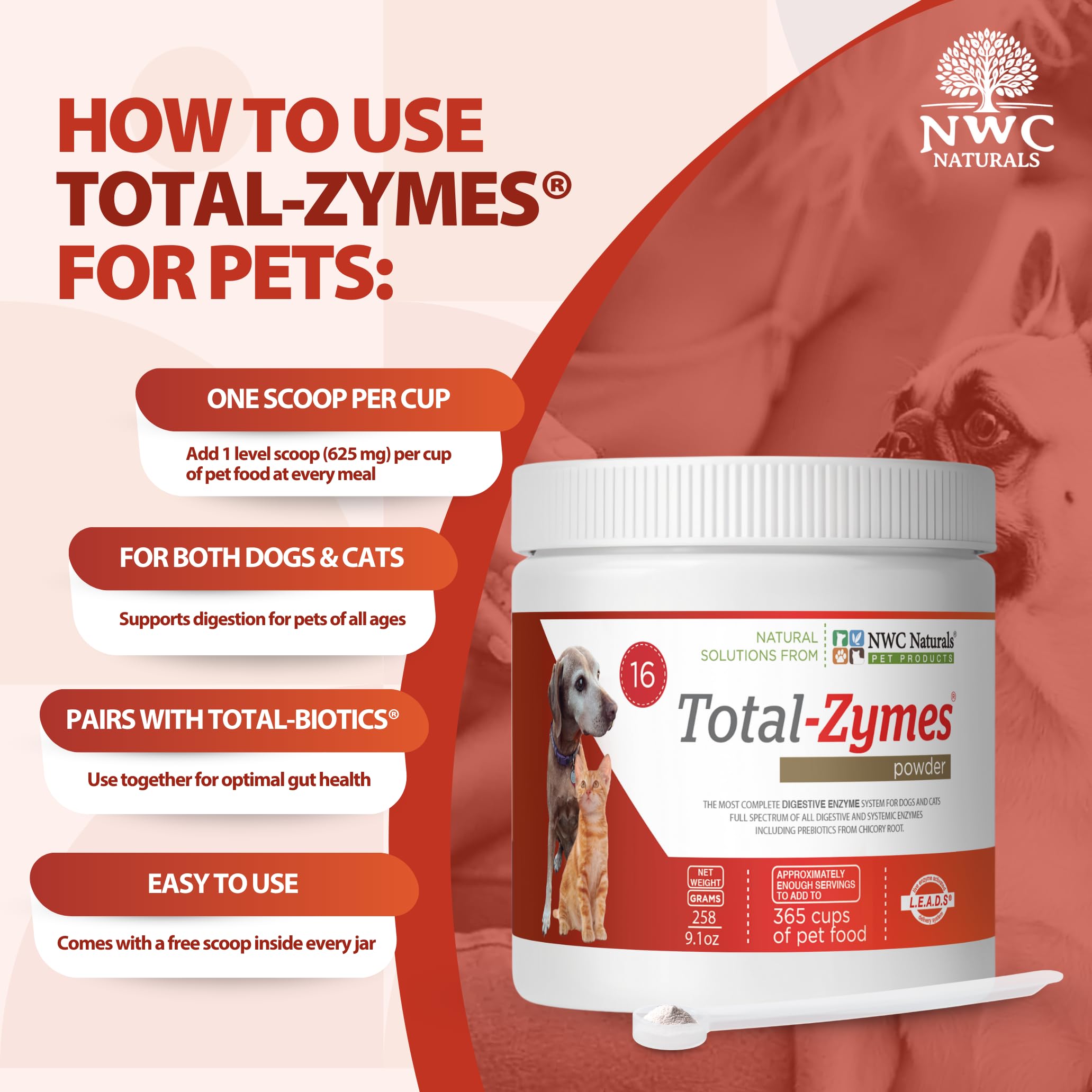 Total-Zymes para bienestar digestivo diario.