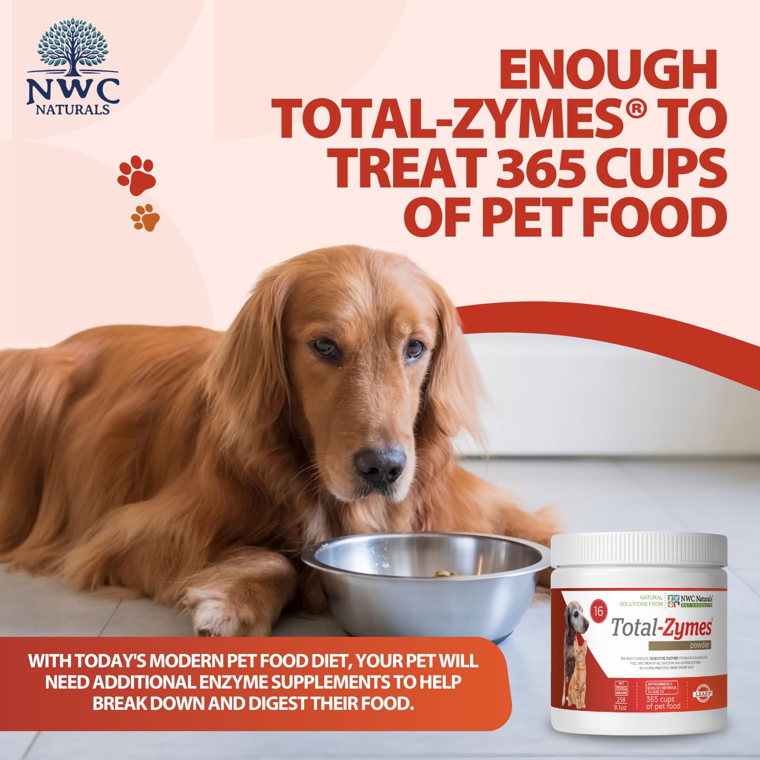 Total-Zymes para gatos, soporte digestivo.