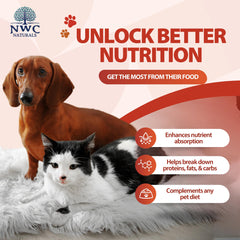 Total-Zymes para perros, apoyo digestivo.