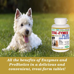 NWC Naturals Total-Zymes Plus: masticables para perros y gatos con sabor natural y fácil administración.