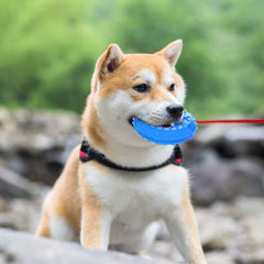 NWK diseño externo espeso, mordedor duradero para perros.