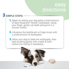 Empaque de Nylabone Advanced Oral Care listo para uso diario.