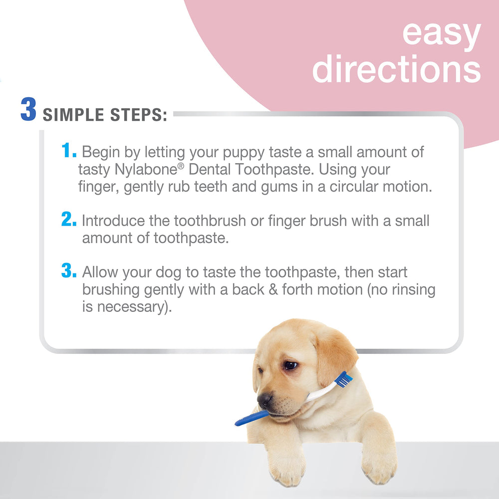 Nylabone Advanced Oral Care Puppy Dental Kit original, pasta dental Denta-C para sabor original.