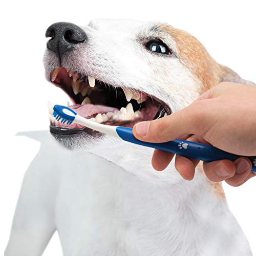 Nylabone Advanced Oral Care Puppy Dental Kit original, cepillo suave para lavado bucal cotidiano.