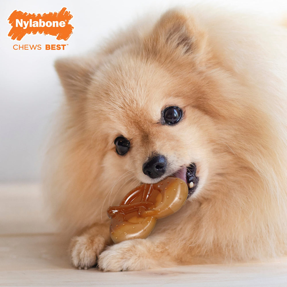 Nylabone Pretzel Power Chew: arco ergonómico facilita agarre durante la masticación