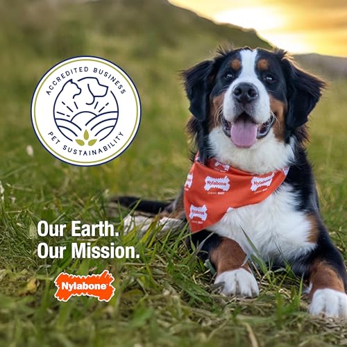 Nylabone wishbone chew toy supports calm behavior during separation.