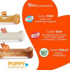 Nylabone cachorros, juguete-masticación-progresivo: acompaña el desarrollo dental de forma gradual.