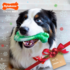 Nylabone Curvy masticacion extrema, mantiene ocupados a perros agresivos.