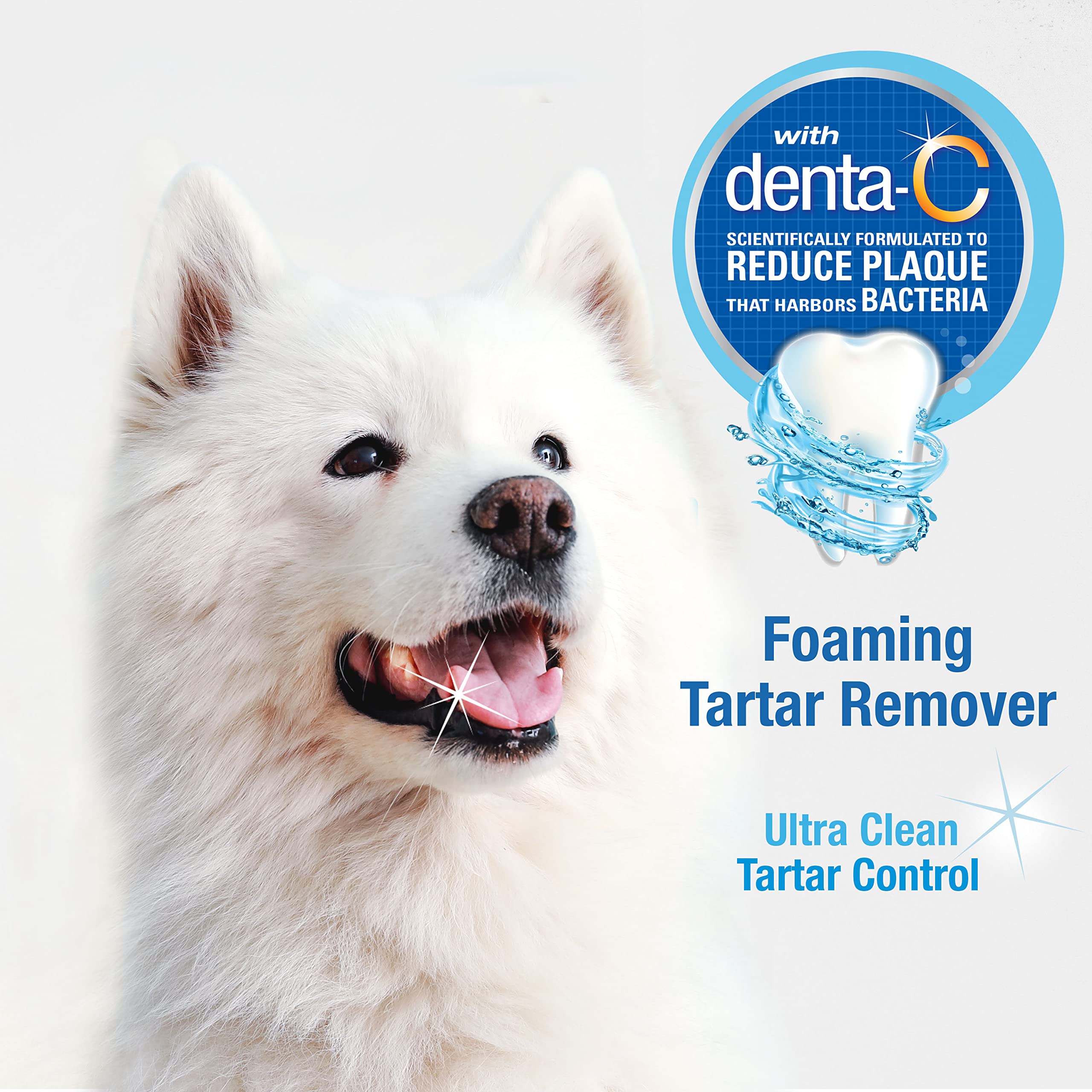 Nylabone espuma dental recomendado por veterinarios para perros.