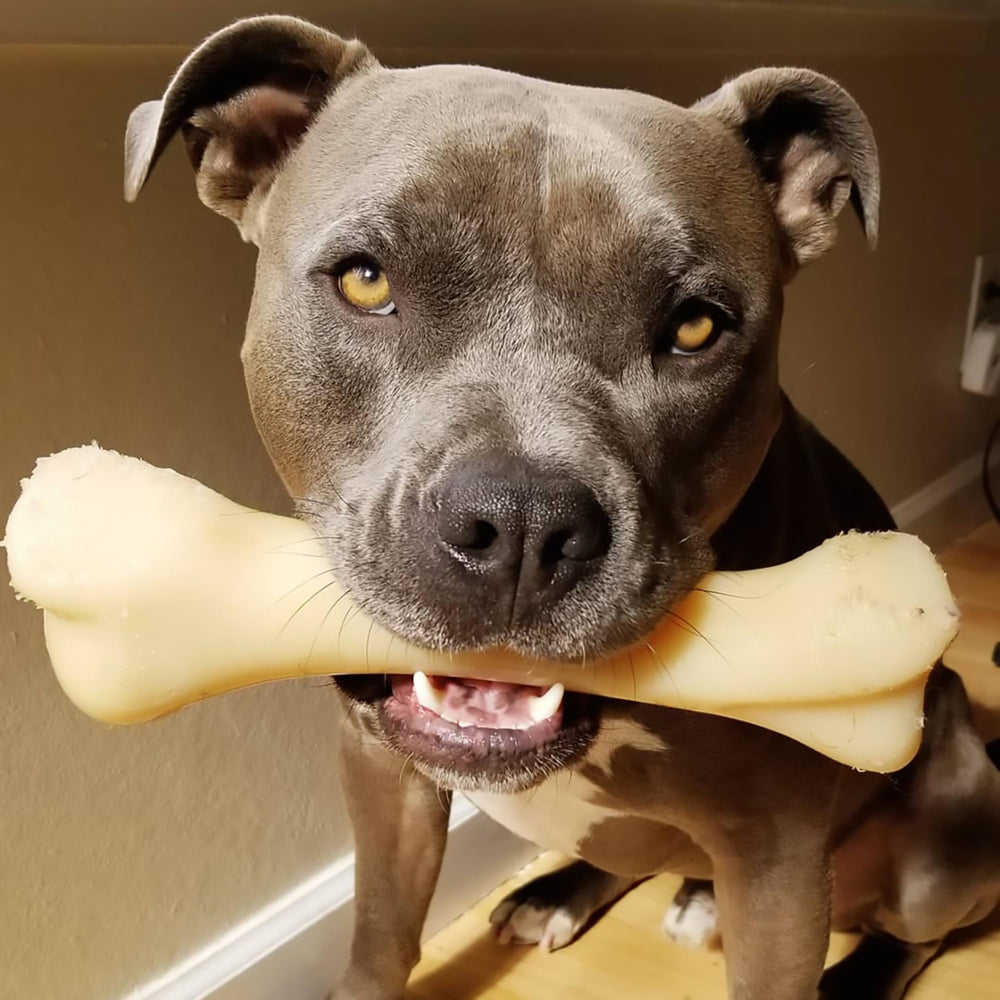 nylabone-destruccion-resistente-juguete de masticacion, preparado para mordedores fuertes