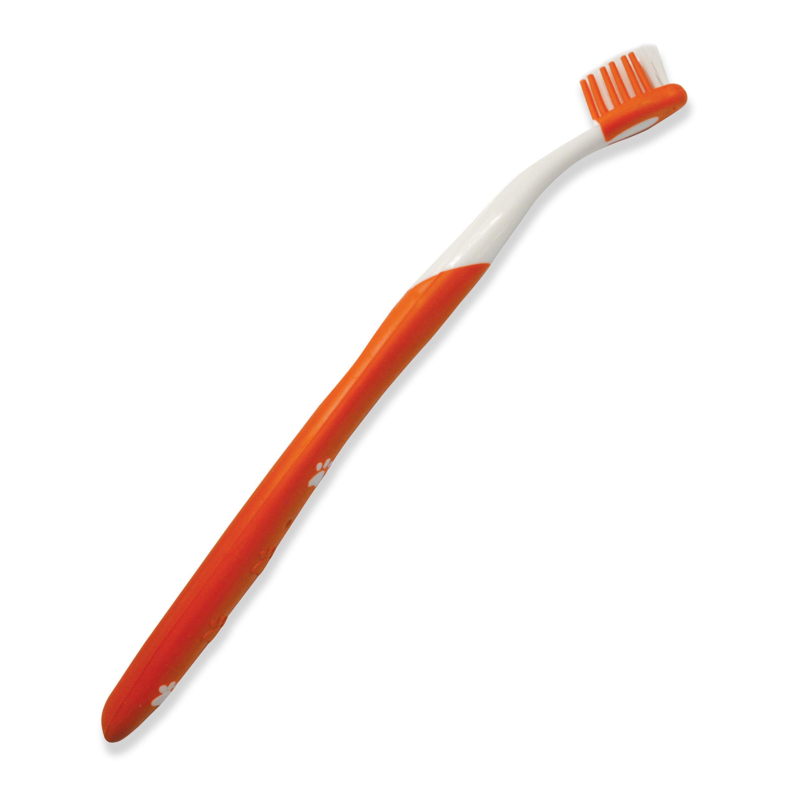 Nylabone accesorios visibles en el kit dental para gatos