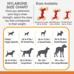 Nylabone Hueso Doble Potencia, dientes sanos, texturas variables en cada mordida.