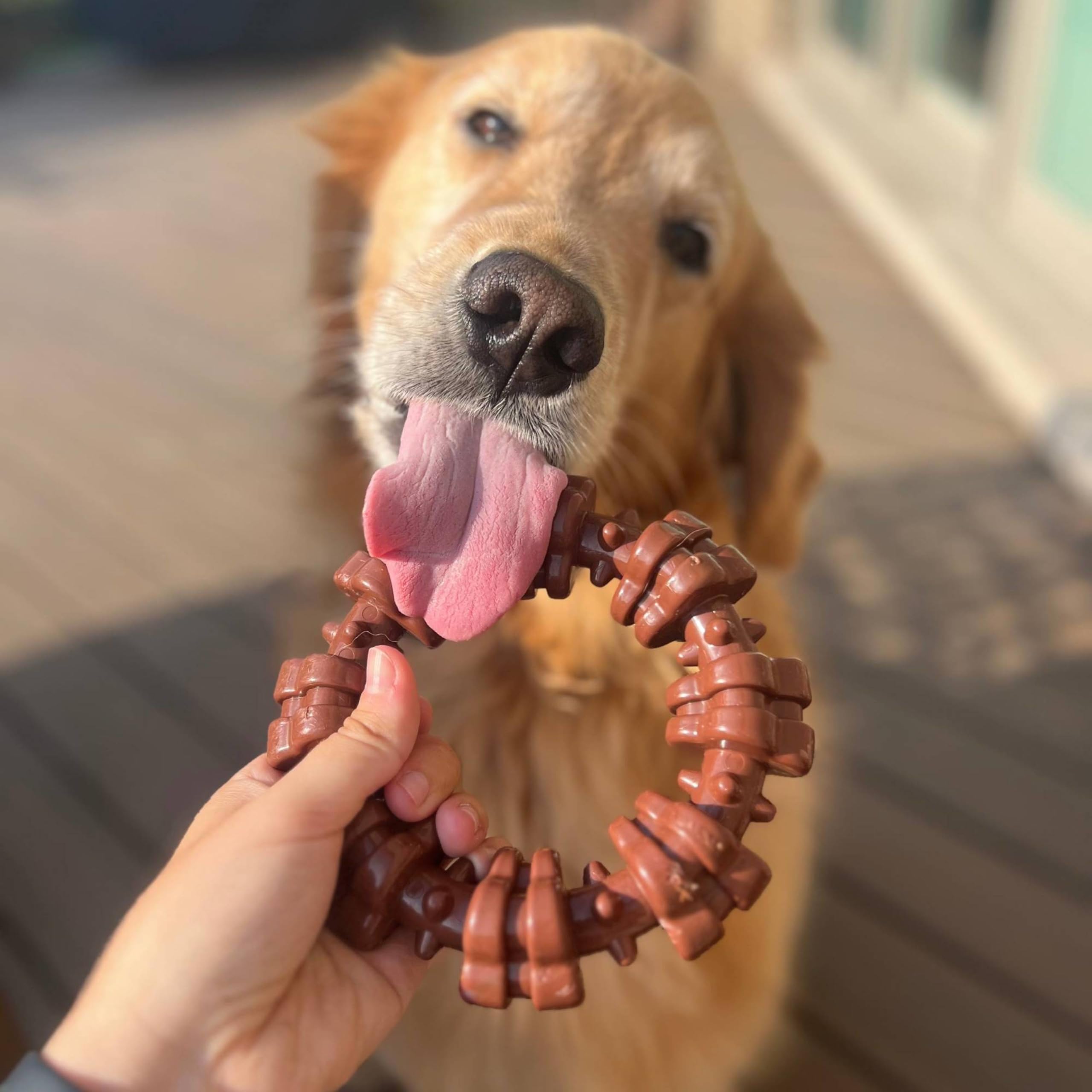 Nylabone Power Chew: diseño robusto para perros grandes y masticadores agresivos.