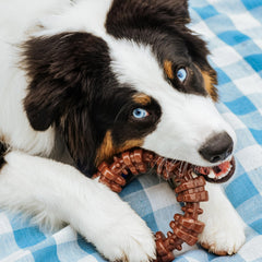 Nylabone Power Chew: superficie texturizada con relieves para masajear encías.
