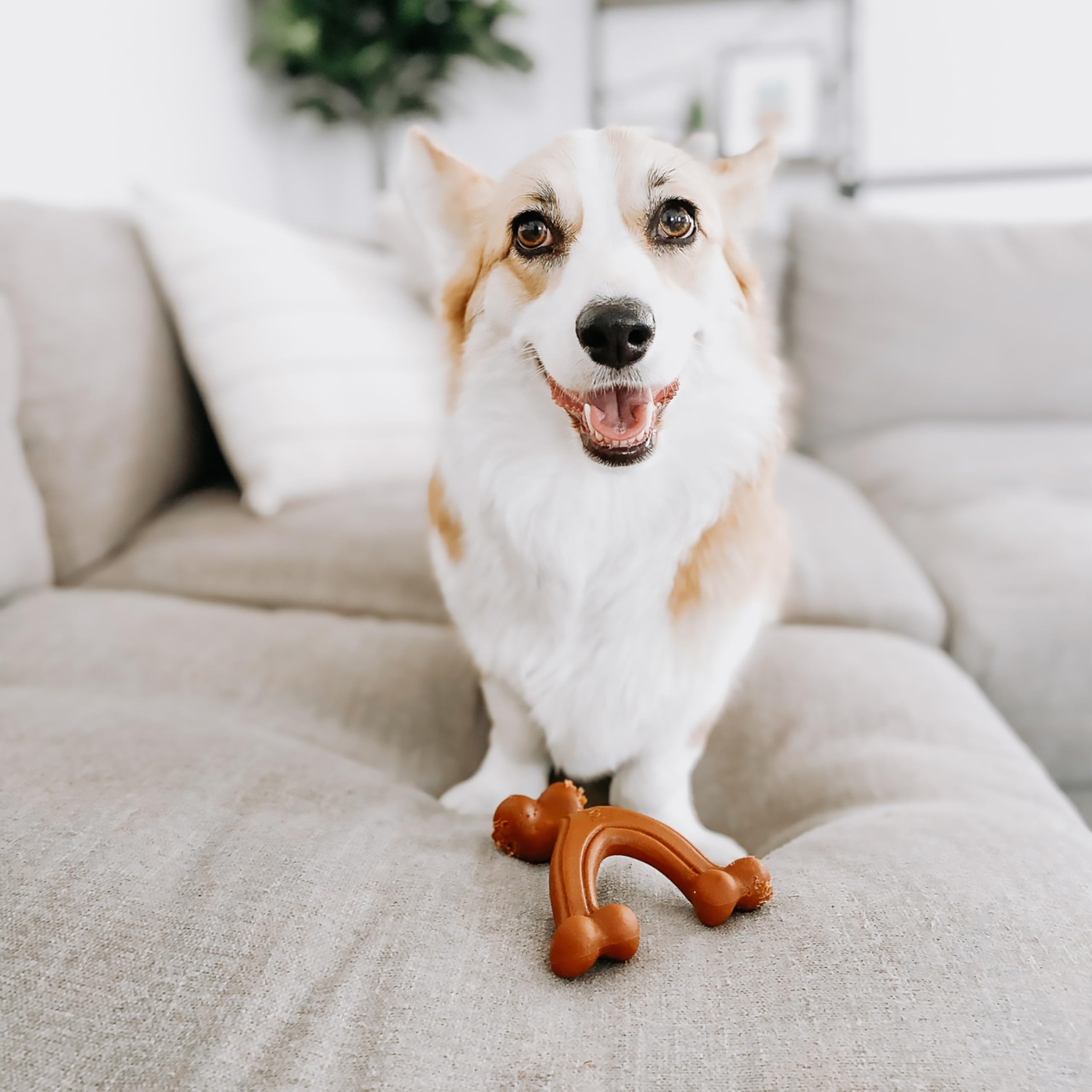 Juguete Nylabone de masticación extrema, duradero para perros agresivos