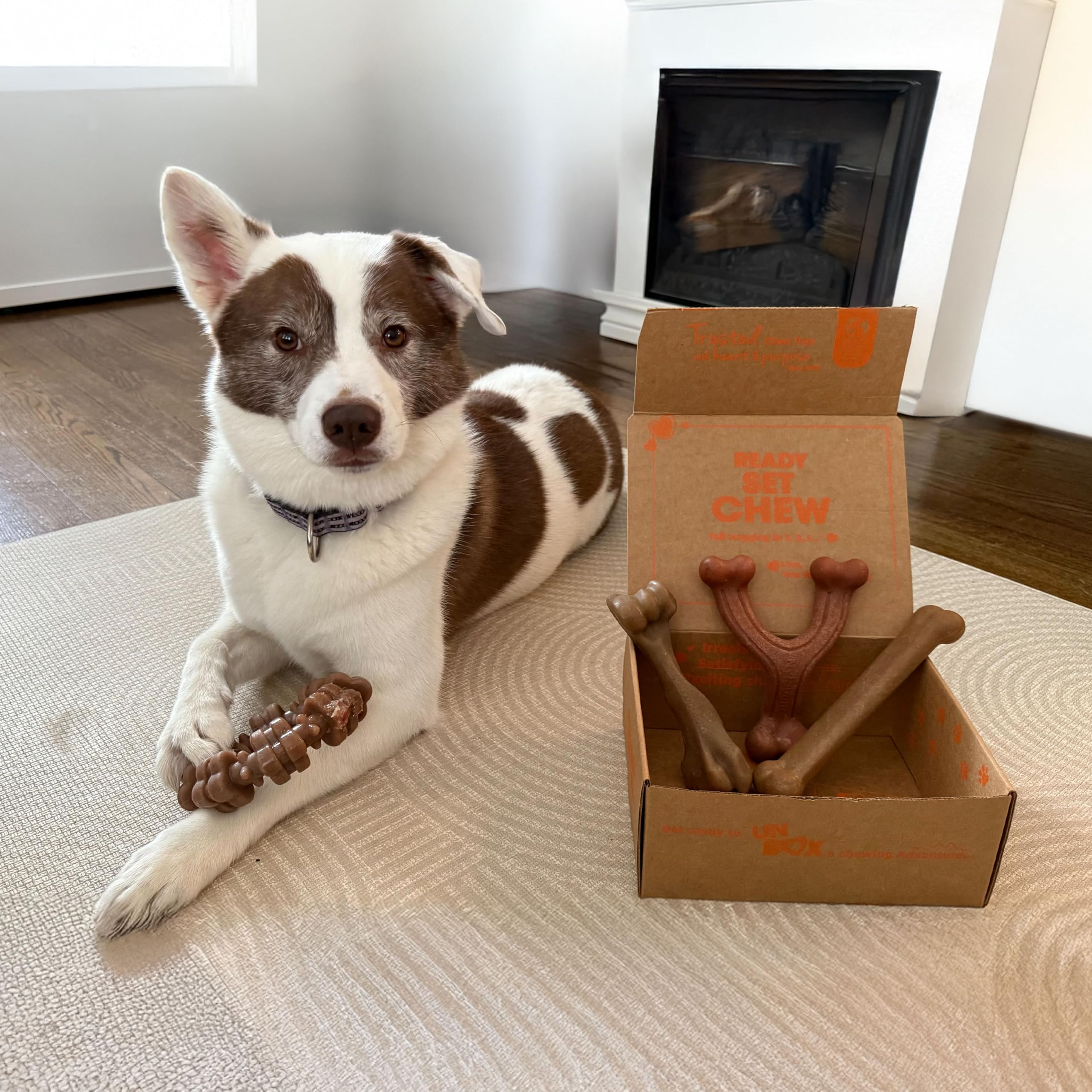 Nylabone Durabilidad alta para masticadores fuertes.