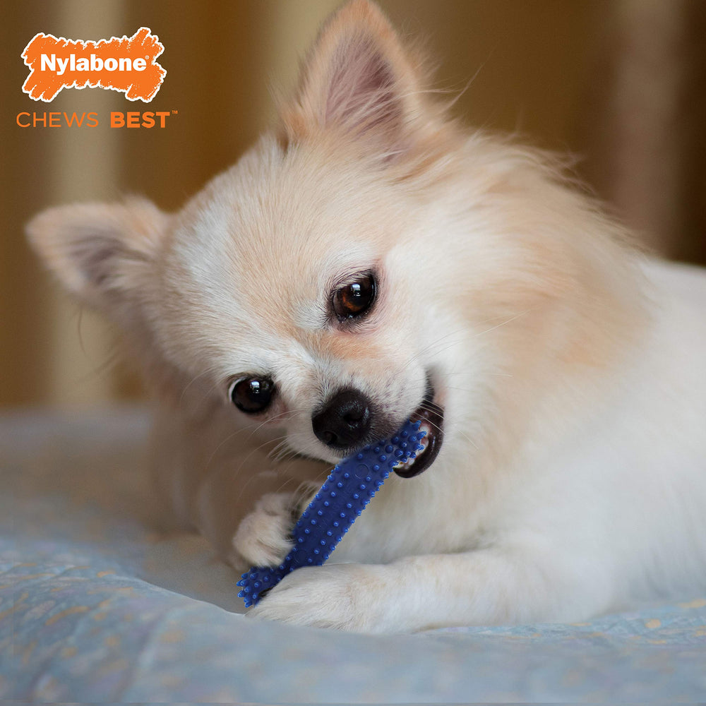 Nylabone Flexi Chew paquete 3 unidades, opción económica para varias sesiones.