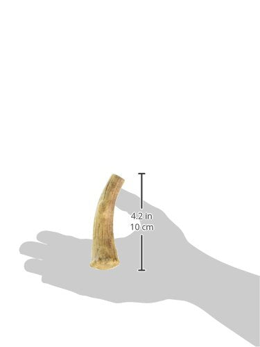 Hueso de venado real de Nylabone para perros grandes, sabor natural y aspecto tentador.