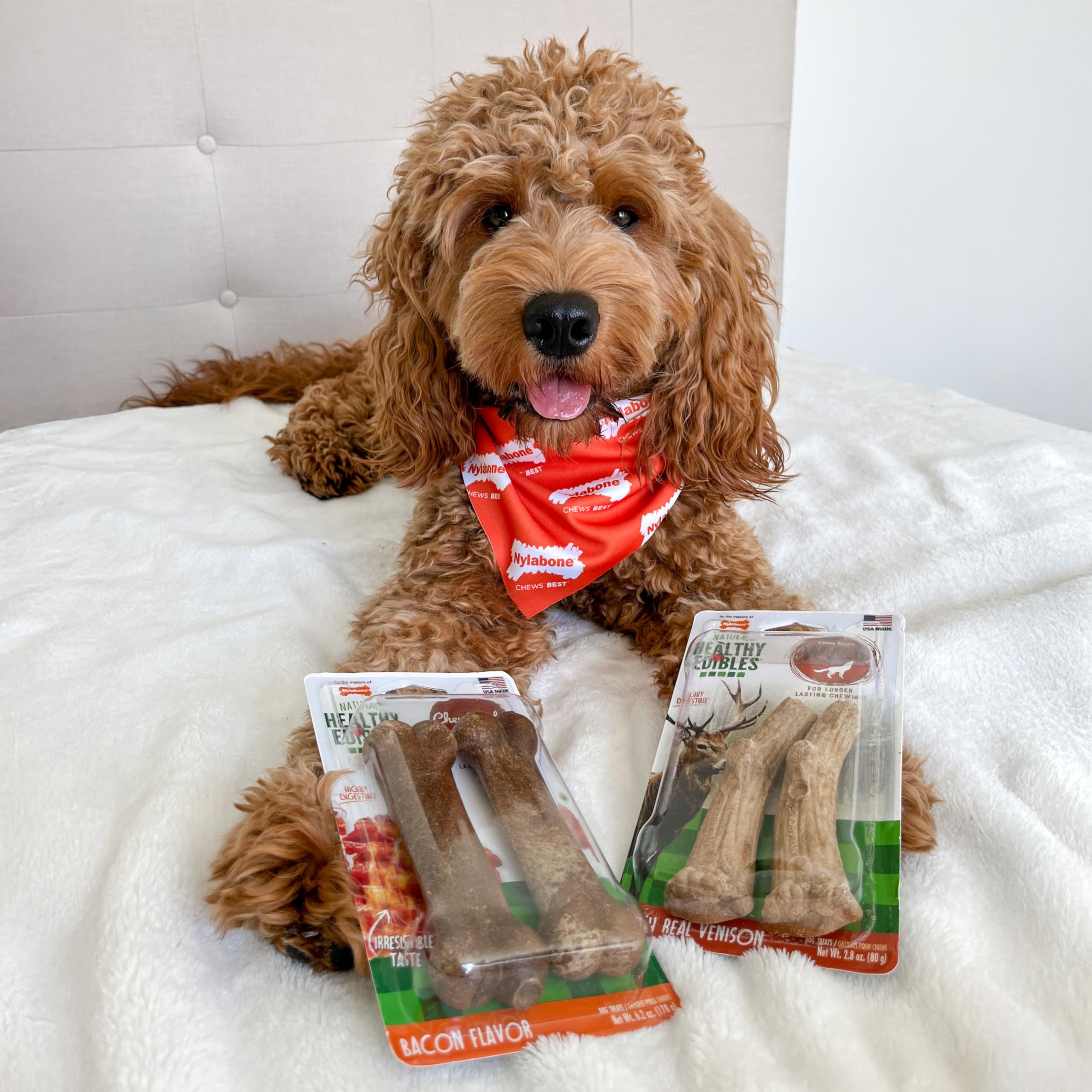 Nylabone golosinas saludables de ciervo salvaje premia al perro con masticación duradera.