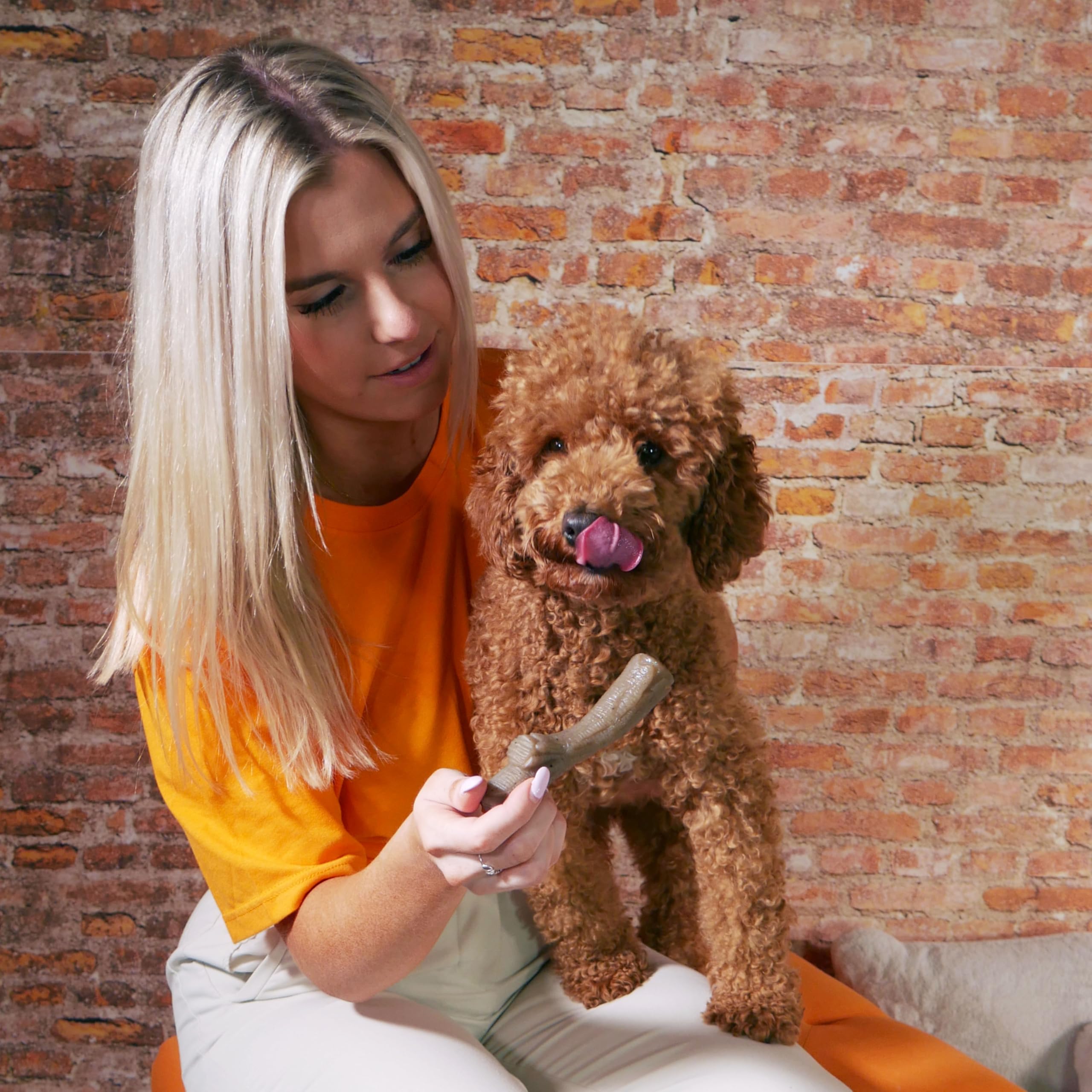 Nylabone Gourmet Style: juguete duradero para mordedores fuertes.