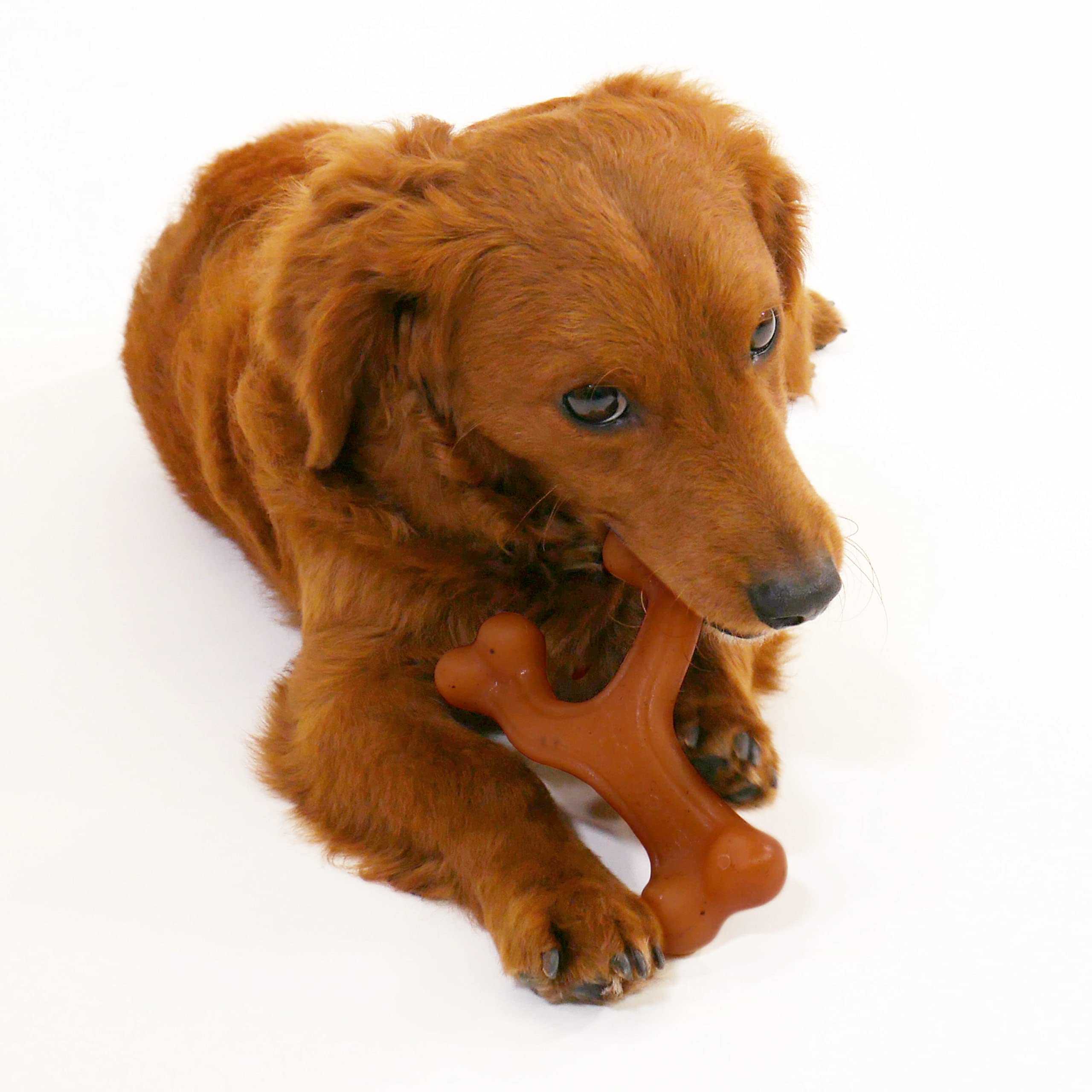 Nylabone Gourmet Style Wishbone duradero para perros fuertes