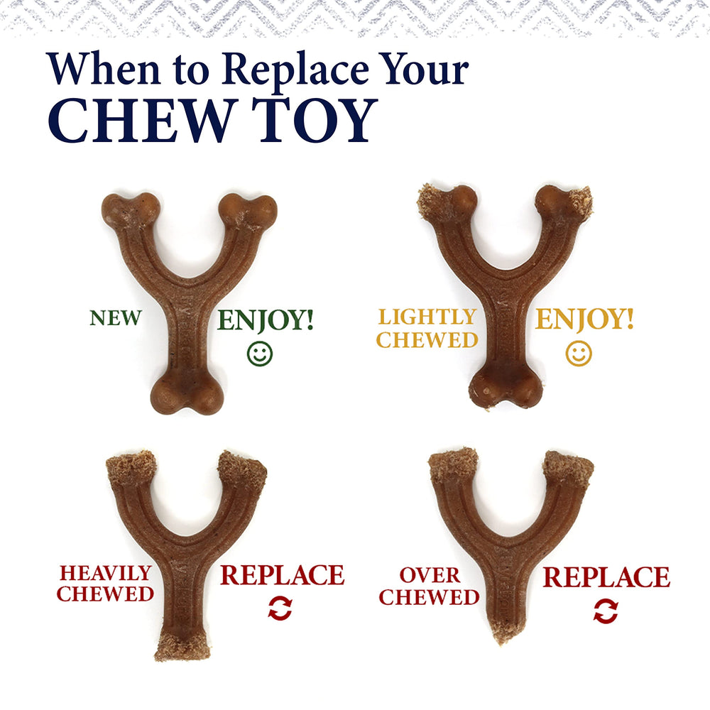 Nylabone Gourmet Style Wishbone — Grand-format : taille adaptée chiens jusqu'à 23 kg.