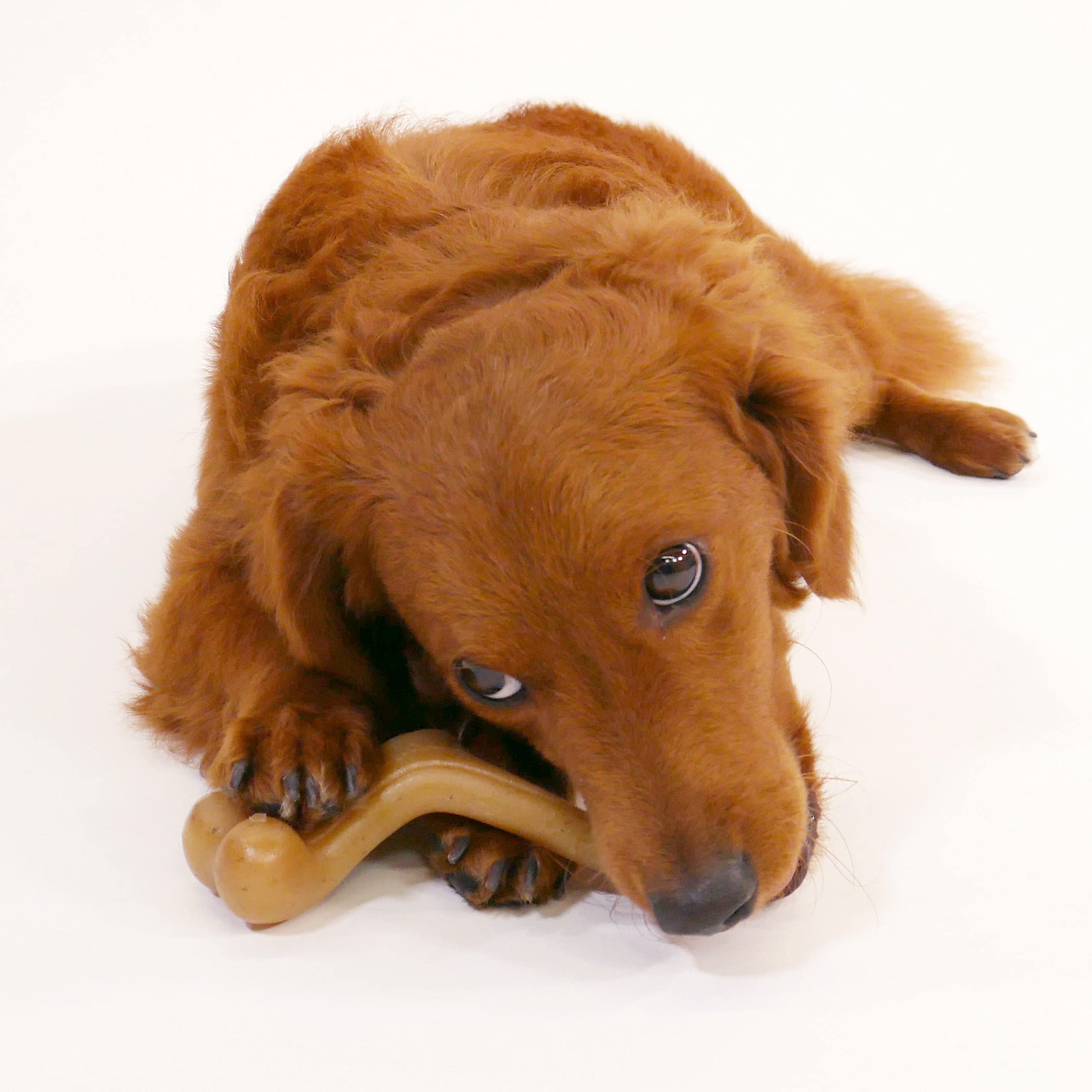 Nylabone Gourmet Style Wishbone textura única para masticación prolongada