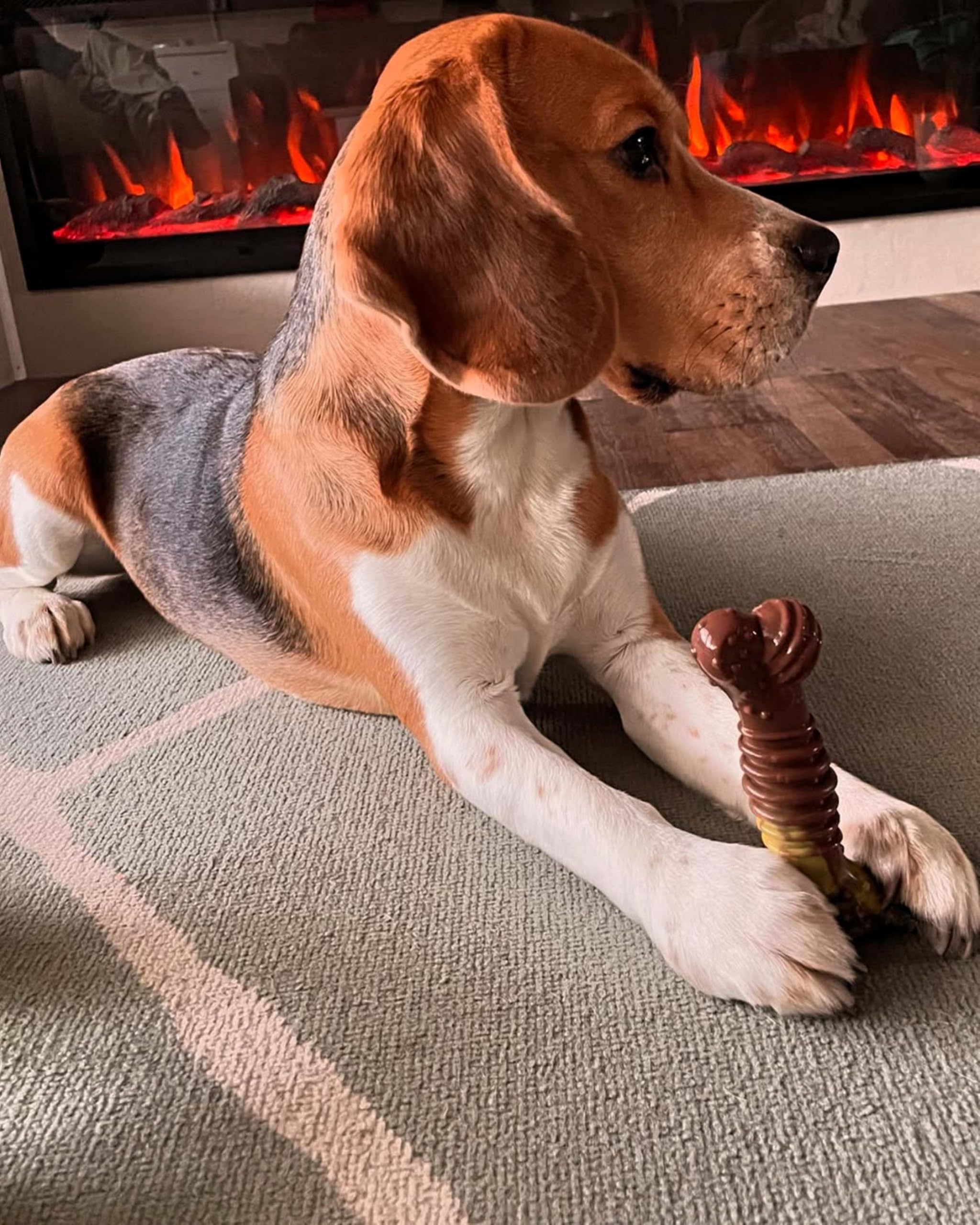 Nylabone Groove Texturas Multiples, fomenta masticación saludable en perros activos