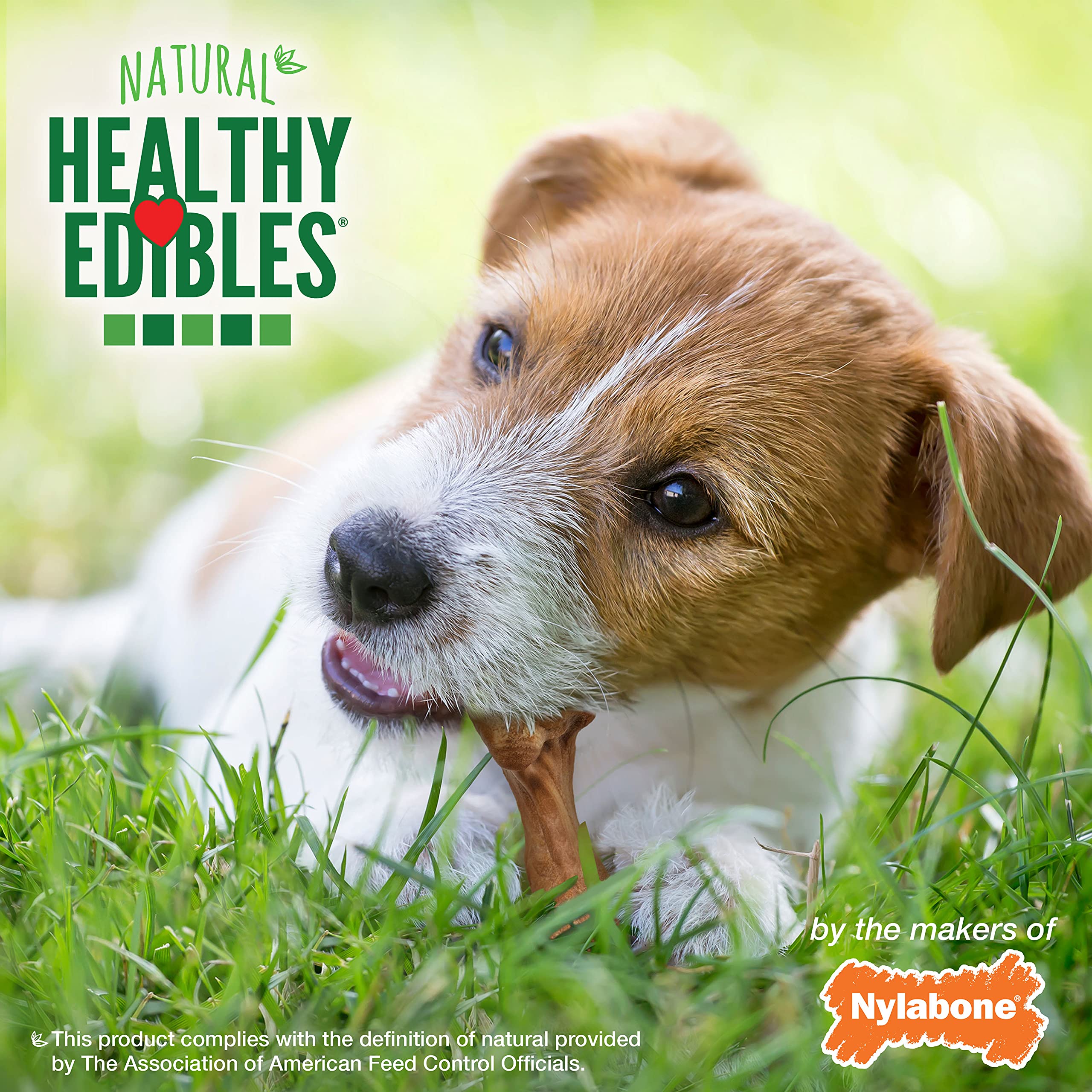 Nylabone Healthy Edibles: paquete de 16 premios para entrenamiento