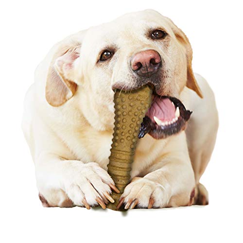 Nylabone Healthy Edibles: dimensiones de 7,75 pulgadas de largo