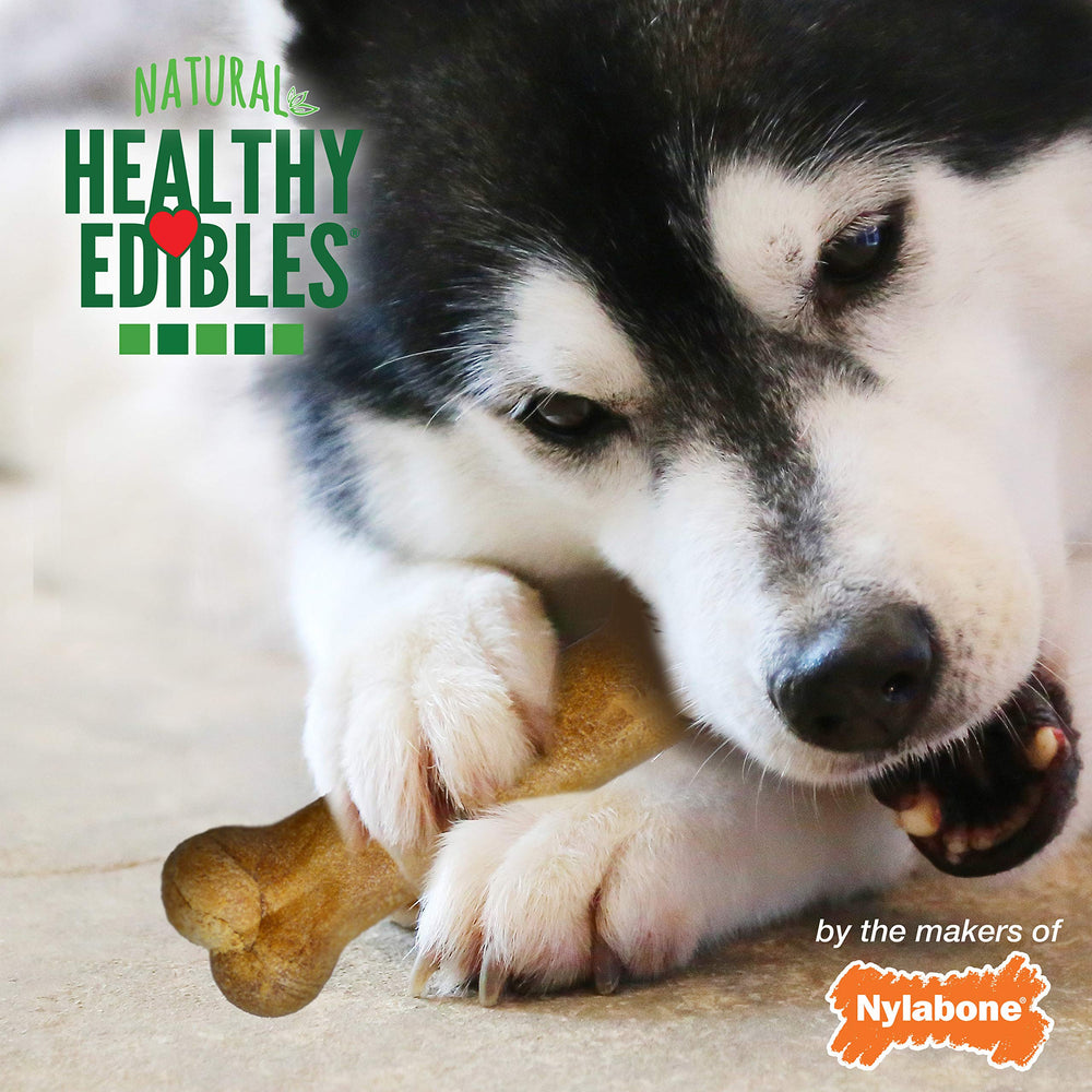Nylabone Healthy Edibles diseño para perros pequeños, seguro y sabroso.