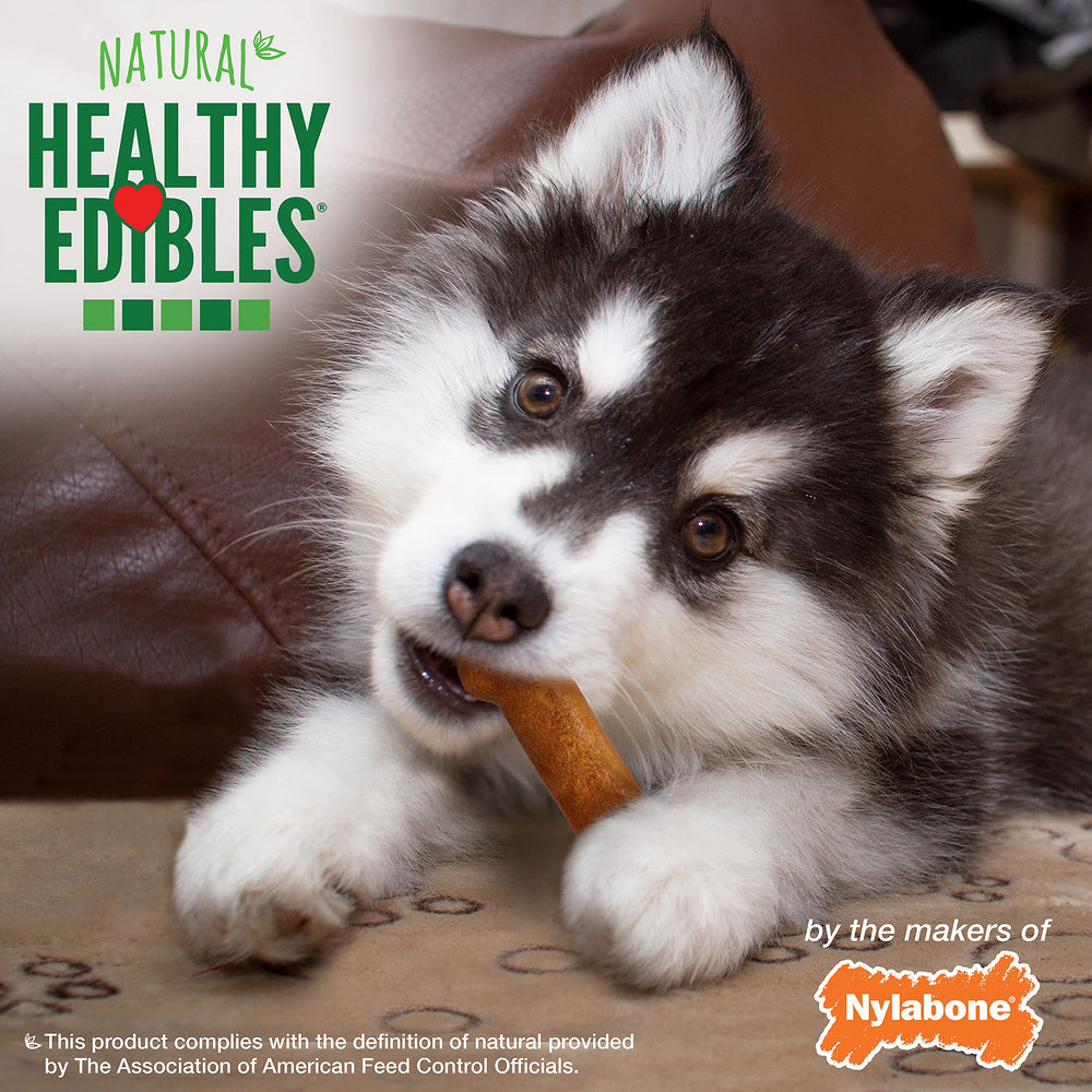 Nylabone Healthy Edibles ideal para entrenamiento y hábitos de masticación positivos.