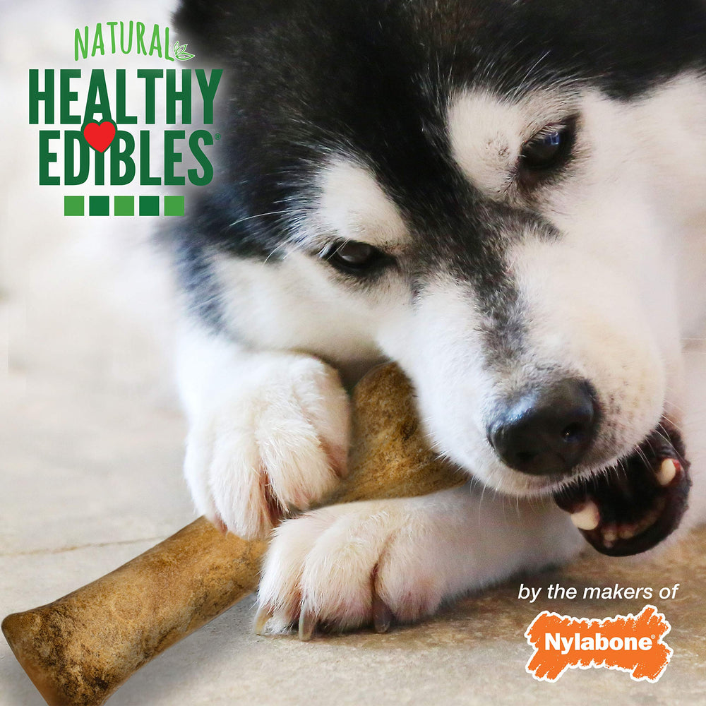 Nylabone Healthy Edibles: entrenamiento canino con recompensa de masticación prolongada