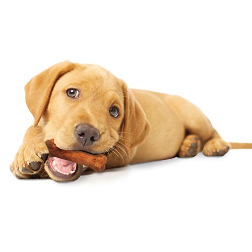 Nylabone Healthy Edibles hecho en Estados Unidos para cachorros