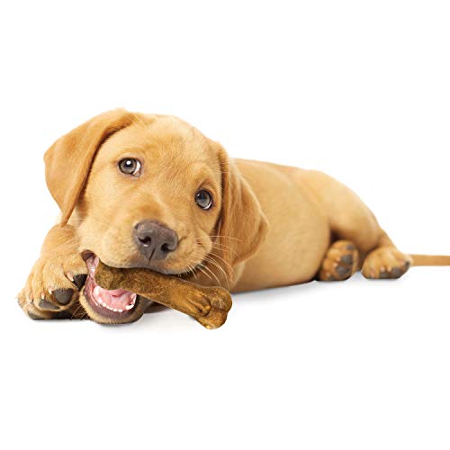 Nylabone Healthy Edibles paquete de 3 piezas para cachorros