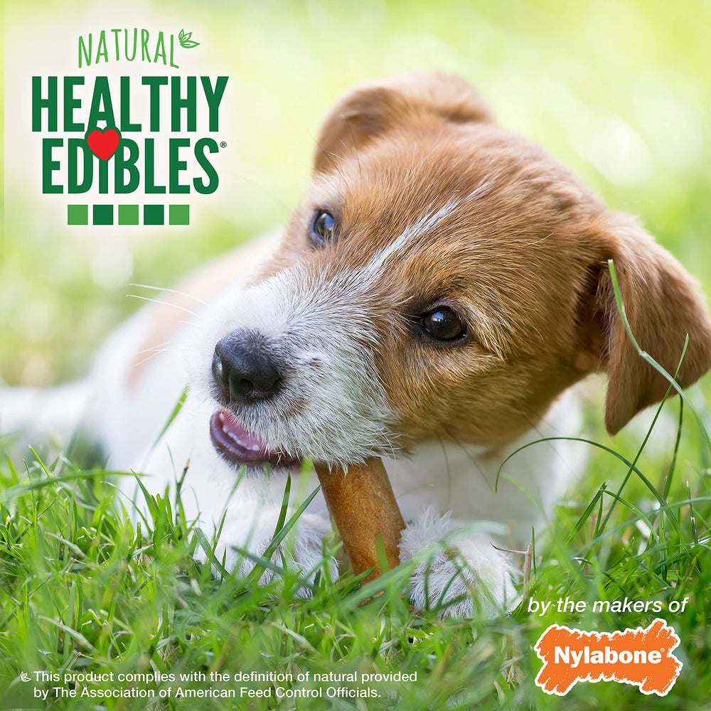 Nylabone Healthy Edibles: textura agradable para masticar.