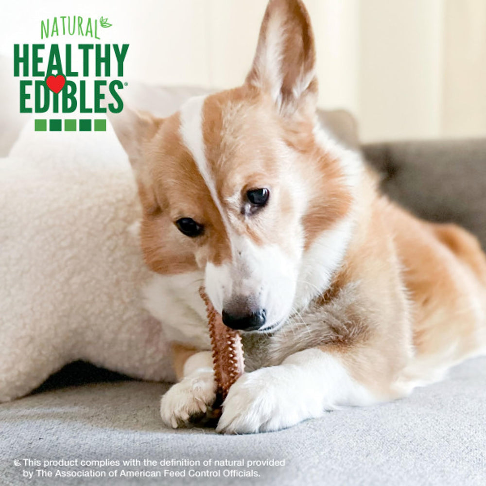 Nylabone Healthy Edibles, textura duradera para masticar y entretener.