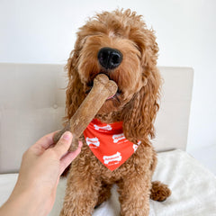 Nylabone Healthy Edibles, variedad de formas y sabores, ideal para mantener a tu perro ocupado.
