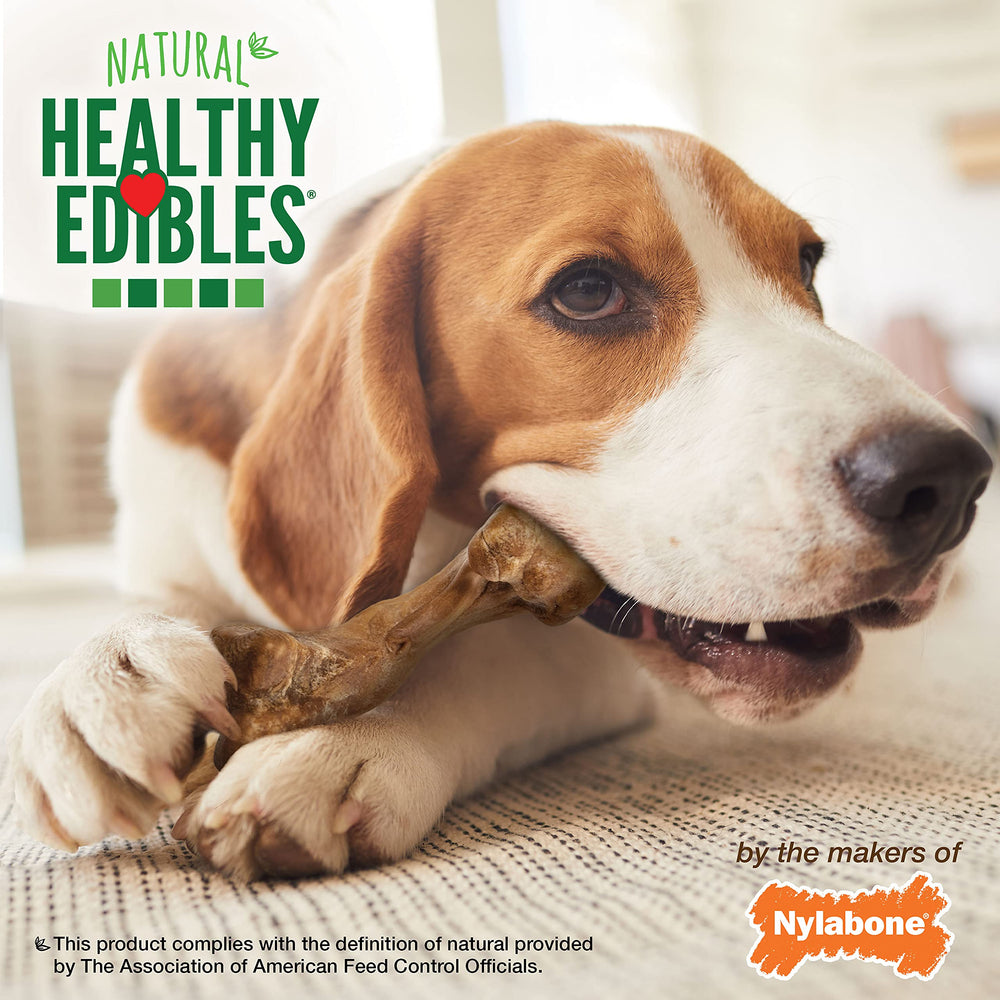 Beneficio dental natural durante la masticación con Nylabone Healthy Edibles WILD.
